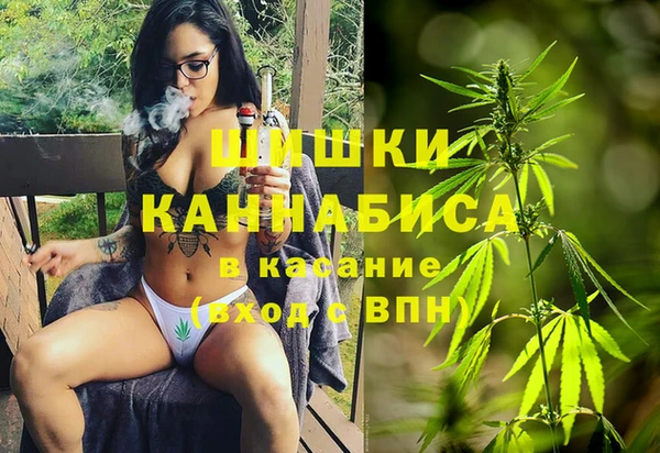твердый Аркадак