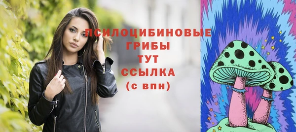 спайс Арсеньев