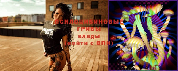 спайс Арсеньев